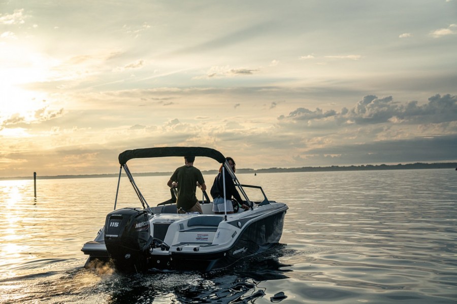 Bayliner Element M17